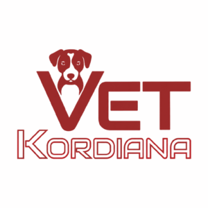 Przychodnia Weterynaryjna KordianaVet