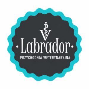 Przychodnia Weterynaryjna Labrador