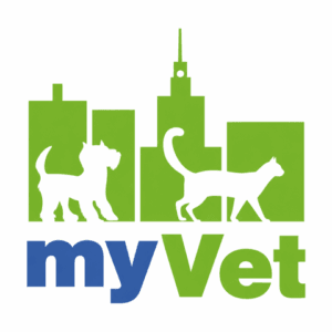 Przychodnia Weterynaryjna My Vet
